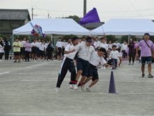 紫