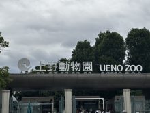 1780640765189